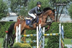 Eindresultaten ponychallenge