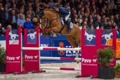 Justice HL winnaar KWPN hengstencomp. L