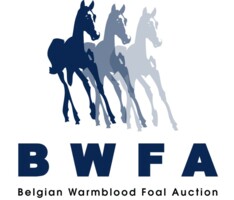 BWFA 20 Jaar Jong, kiest voor de vernieuwing