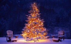Prettig kerstfeest!
