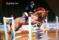 Nationale ponyindoor LRV:   stijspringkampioenen 2013 bekend