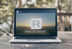 Nieuwe website voor Haras Des Rosiers!