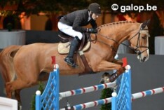 Sven Van Dijck en Damira rijden naar winst in het 1m35