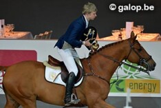 Dennis Van Den Brink wint 1m35 - Vicky Van De Poel knap tweede