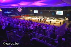 De Pelsmaeker koopt HAB-topper voor 72.000