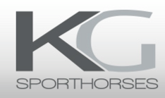 K&G sporthorses is op zoek naar pony's