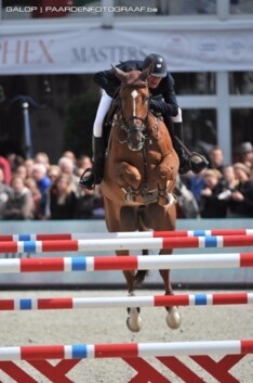 WB jumping, dressuur en mennen in Londen