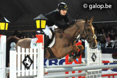 provinciale LRV indoor pony"s Antwerpen