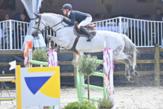 Thierry Goffinet wint de troosting voor de 7-jarige paarden!