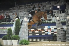 Selinka-stam wint Breederscup