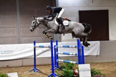 Harthago vh Bellehof topper ET Auction!