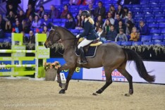 JM 18: Van Ingelgem wint finale 1.00m!