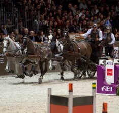 Bordeaux, video Koos de Ronde