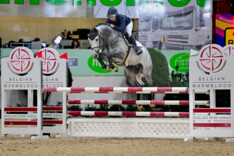Foto's BWP keuring, BRP keuring en Finale hengstencompetitie zijn online