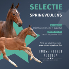 Inschrijvingen Horse Select Auction staan open!