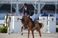 Lutz verkoopt hengst van Hemeryck naar India