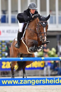Sea Coast Pebbles is ‘Paard van het Jaar’!
