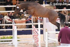 Flippo vd Bisschop aan zet in Californië