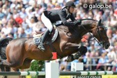 Steve Guerdat wint met Carpalo