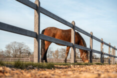 De Sutter Naturally: Infinity, an eco beauty all the way