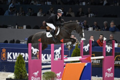 New Pleasure VDL regeert in Blom Hengstencompetitie klasse 1.20m