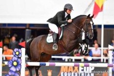 CSI2* Parijs: de Brabander en Conter scoren!