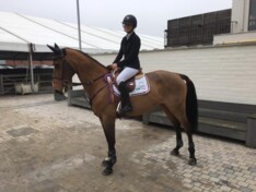 CSI2* Lier: Podiumplaats voor De Hornois!