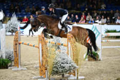 Tim Prouvé triomfeert in Longines Rankingproef!