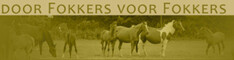 Cataloog DFVF 2013 in druk
