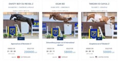 Veilingtopper van €200.000 op Zangersheide!