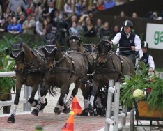 Genève, Boyd Exell wint glansrijk