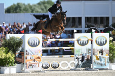 King Edward doet het weer