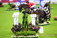 Belgische springduivels springen naar zilver in Nations Cup van Aken!