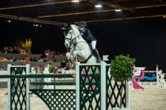 Flanders Horse Expo: terug van weggeweest met mix aan sport, spektakel en vorming