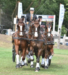 Beekbergen klaar voor Paardenspektakel