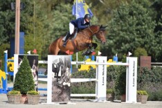 Top 5-klassering voor François Mathy Jr.!