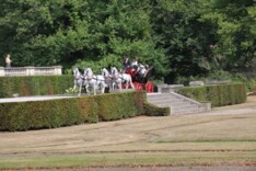 Van Hauwaert grote winnaar lipizzanerkeuring