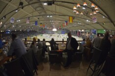 Numero Uno topper op BWP auction Antwerp
