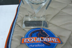 1ste Manche Equi-Libre Silver Cup Stal Hulsterlo