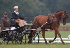Winnaar MenSport Wisseltrofee Nederland