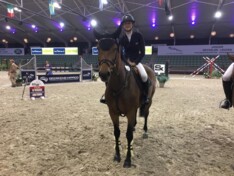 CSI2* Lier: Marthe Van Gorp op het podium!