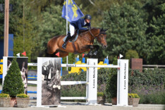Mathy en Vereecke beginnen de dag op het podium!