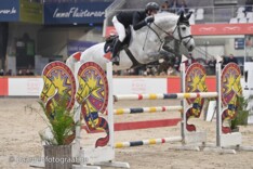Kwaliteit gemene deler Stallion competition!