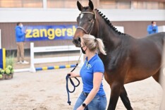 Aanpassing Z hengstenkeuring door stormweer
