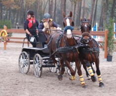 Genk Outdoor Derby - 4 november 2012