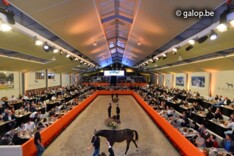 Woodlands 2 stuks boven de 100.000 euro
