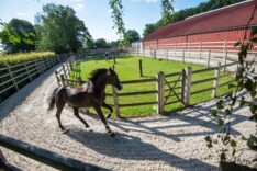 Stateside Farm zoekt werknemer voor fokkerij