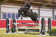 Youhorse.auction viert recordveiling!