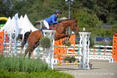 Sarah Verhamme 2de in de CSI1* GP Moorsele!