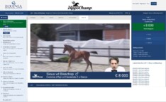 Geanimeerde veiling Hippochamp afgelopen